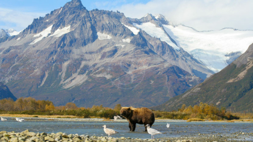 Katmai Wilderness Lodge, Alaska