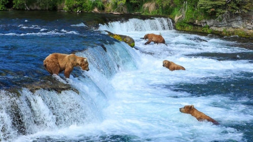 Katmai, Alaska, Etats-Unis