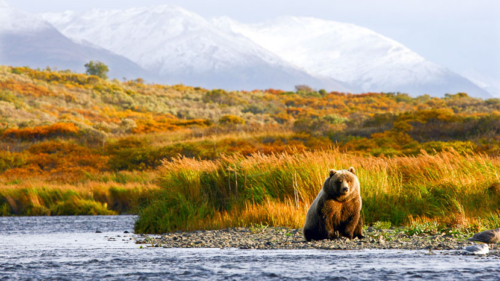 Kodiak, Alaska