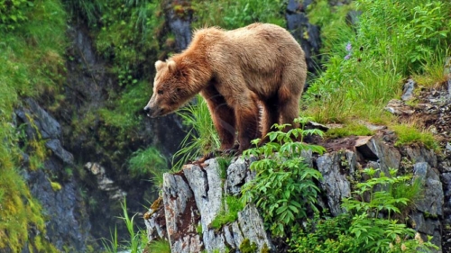 Kodiak, Alaska