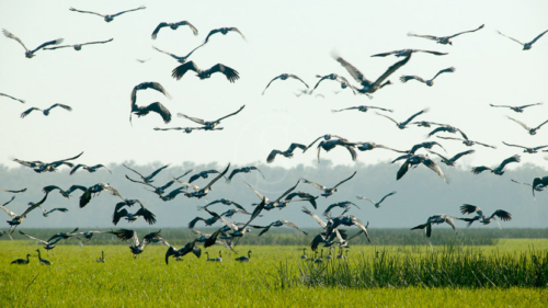 Bamaru Plains, Australie © Bamaru Plains