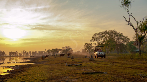 Bamaru Plains, Australie © Bamaru Plains