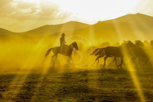 Montana, Etats-Unis © Shutterstock