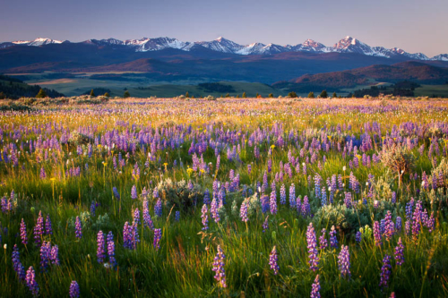 The Ranch at Rock Creek, Etats-Unis 