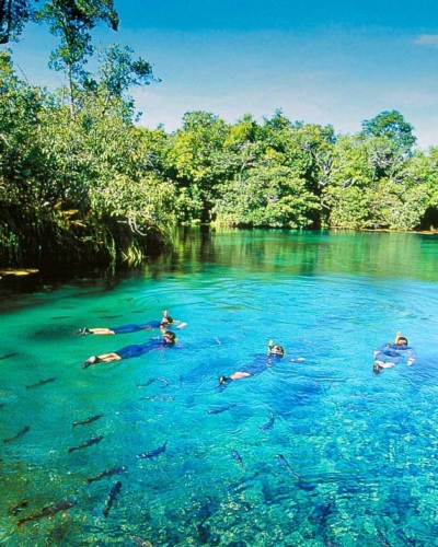 Pantanal Eden du Brésil