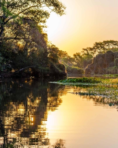 Pantanal Eden du Brésil