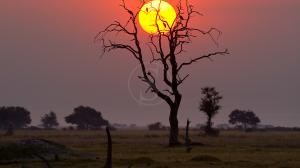 Safari itinérant au Botswana © Andbeyond