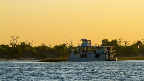 Safari à Chobe © Etendues Sauvages