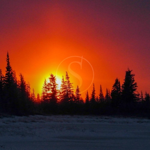 canada churchill wild nanuk polar bear lodge 010