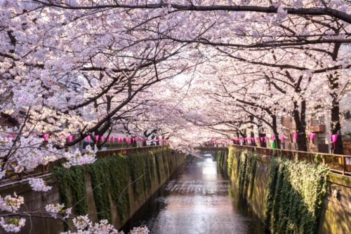 japon sstock 005