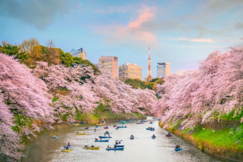 japon sstock 006