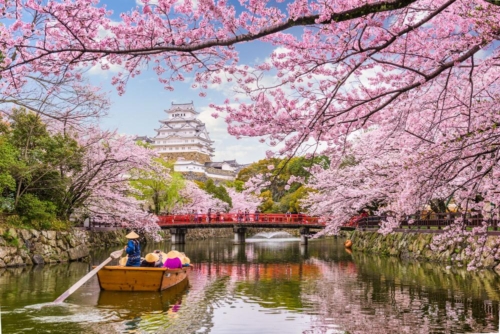 japon sstock 008