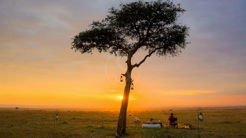 Kicheche Walking Safaris, Kenya