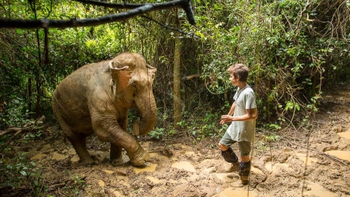 MandaLao Elephant Conservation, Laos © Etendues Sauvages