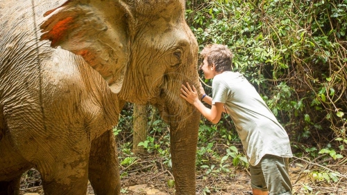MandaLao Elephant Conservation, Laos © Etendues Sauvages