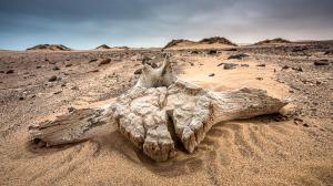 Namibie, Skeleton Coast © Christophe Courteau