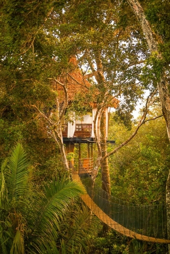 Treehouse Lodge, Pérou © Symoni Johnson