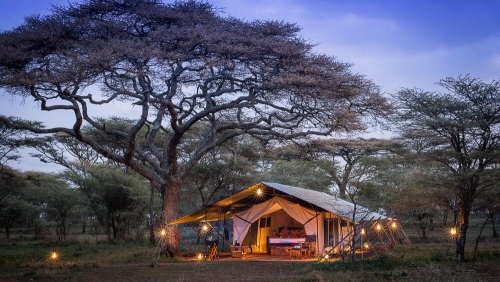 Akiba Kibwe Serengeti, Tanzanie