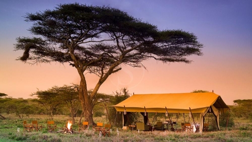 Serengeti Under Canvas, Tanzanie © &Beyond