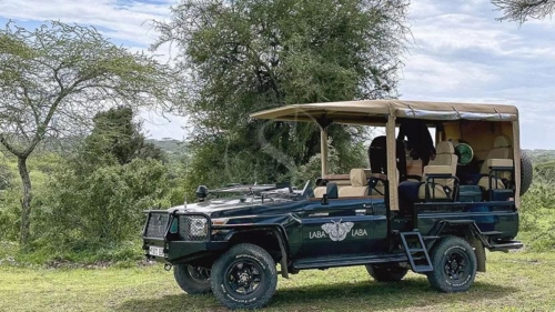 Laba Migration Camp, Tanzanie © Laba Laba Collection