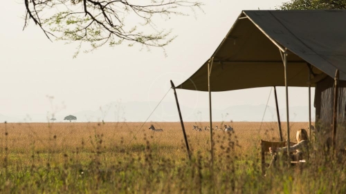 Serengeti Camp, Tanzanie © Nomad