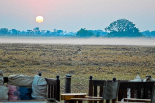 Safari en Zambie © Ludovic R.