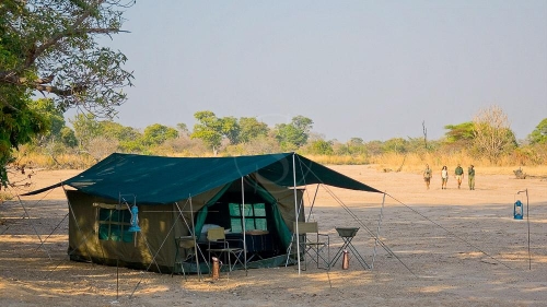 Safari à pied à South Luangwa, Zambie © Robin Pope Safaris