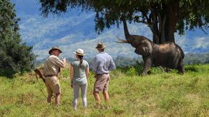 Johns camp, Zimbabwe