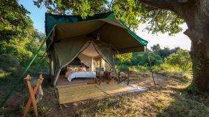 Johns camp, Zimbabwe