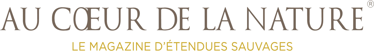 Au cœur de la nature