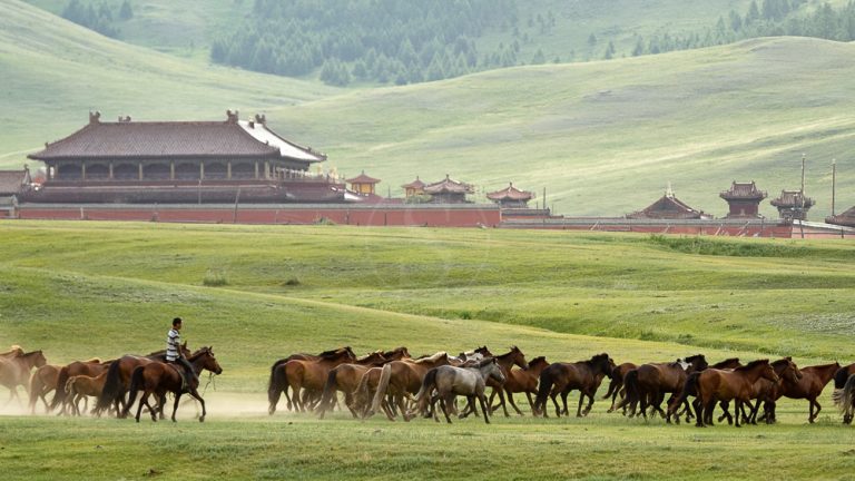 Mongolia, land of encounters