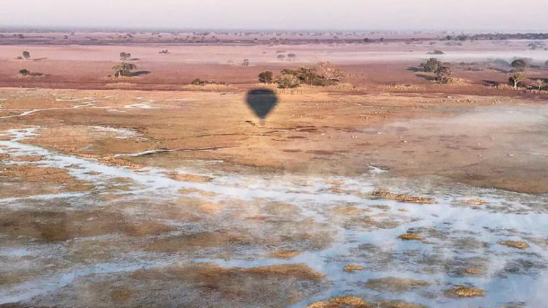 Safari Report: Zambia