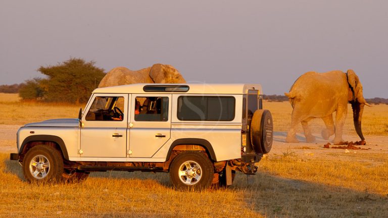 Photography on safari