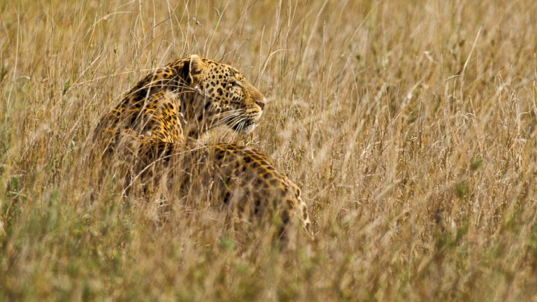 A remarkable, extraordinary journey through Tanzania!