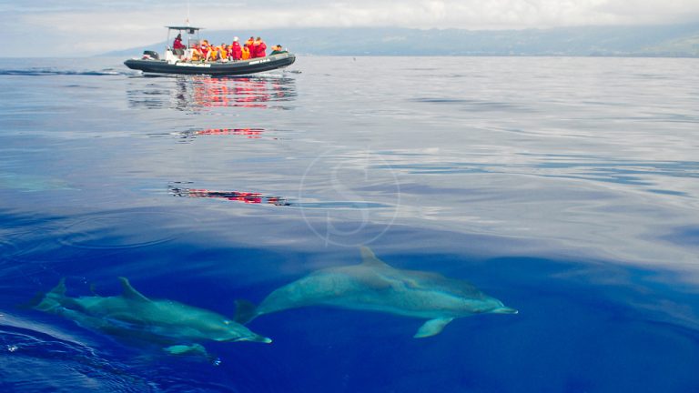 The Azores lived up to their promise… Blue, more blue, always blue…