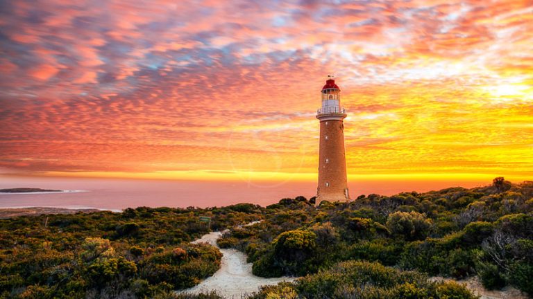 Culinary Safari on Kangaroo Island