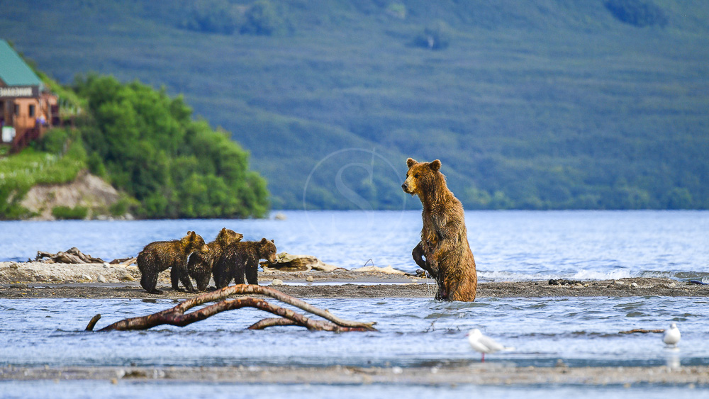 Kuril Lake, Kamchatka © Shutterstock