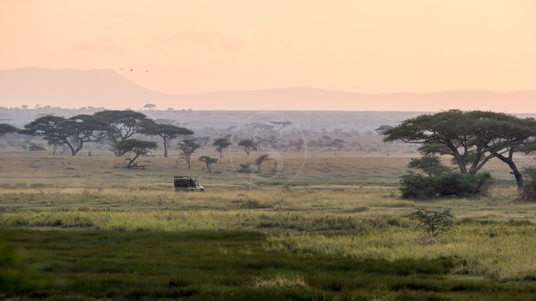 New in the Serengeti: Namiri Plains