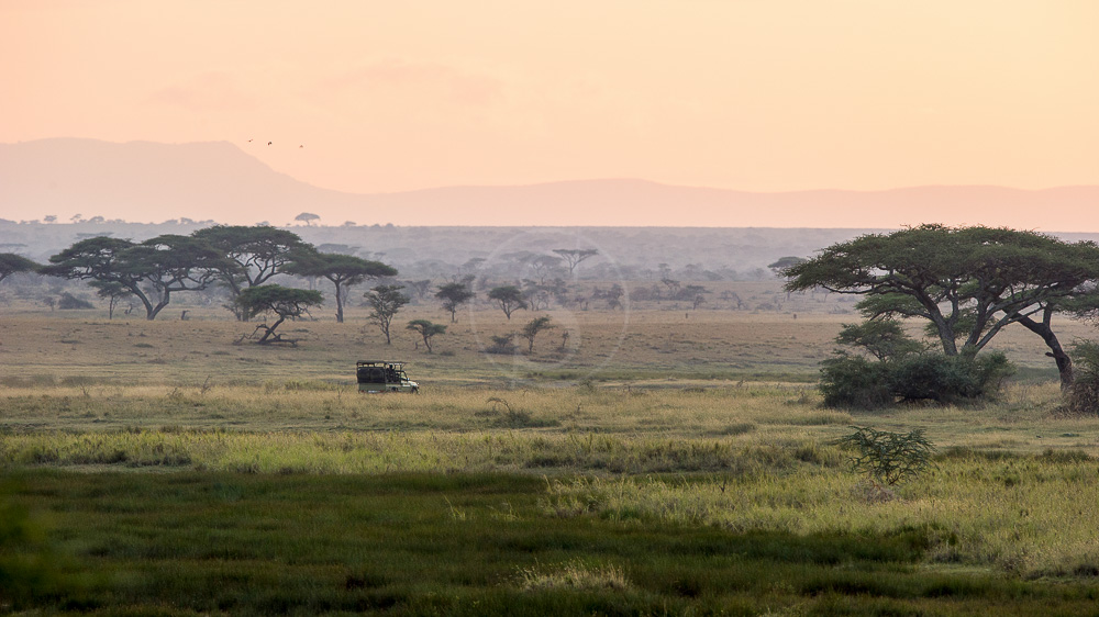 Namiri Plains Camp, Tanzania © Asilia - Paul Joynson Hicks