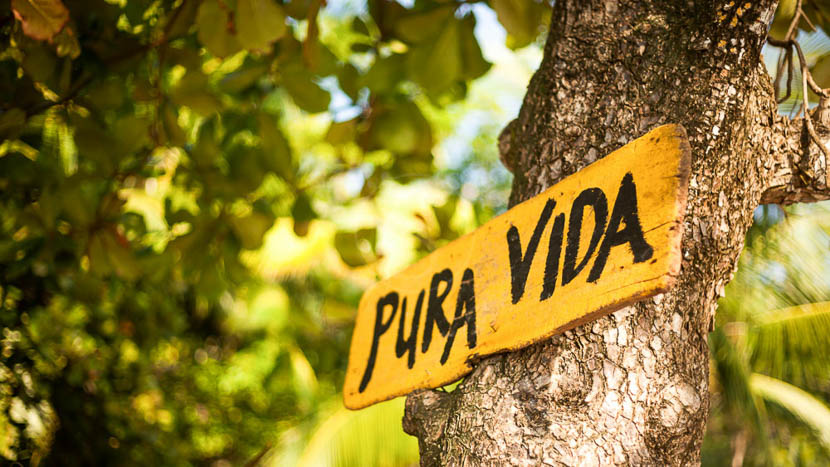 Pura Vida! Costa Rica
