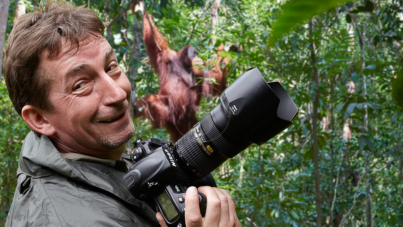 Orangutan, Sumatra © Thierry Riols