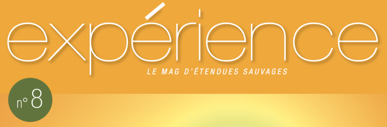 experience#08: 100% solar safaris