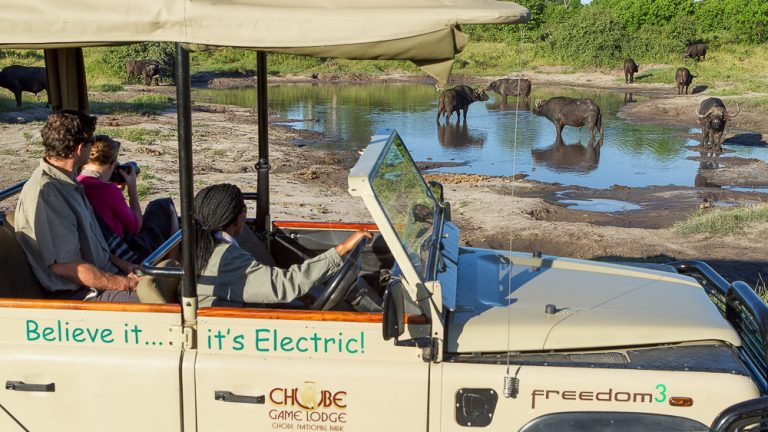 Electric Safari in Tanzania and Botswana