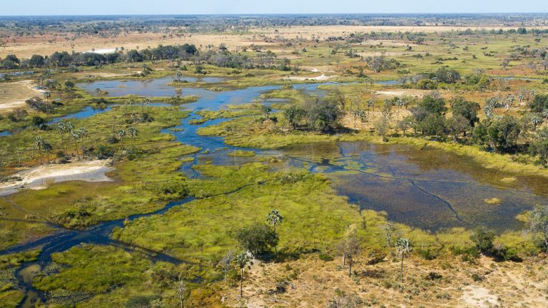 Okavango Delta, where African life pulses at the water’s edge