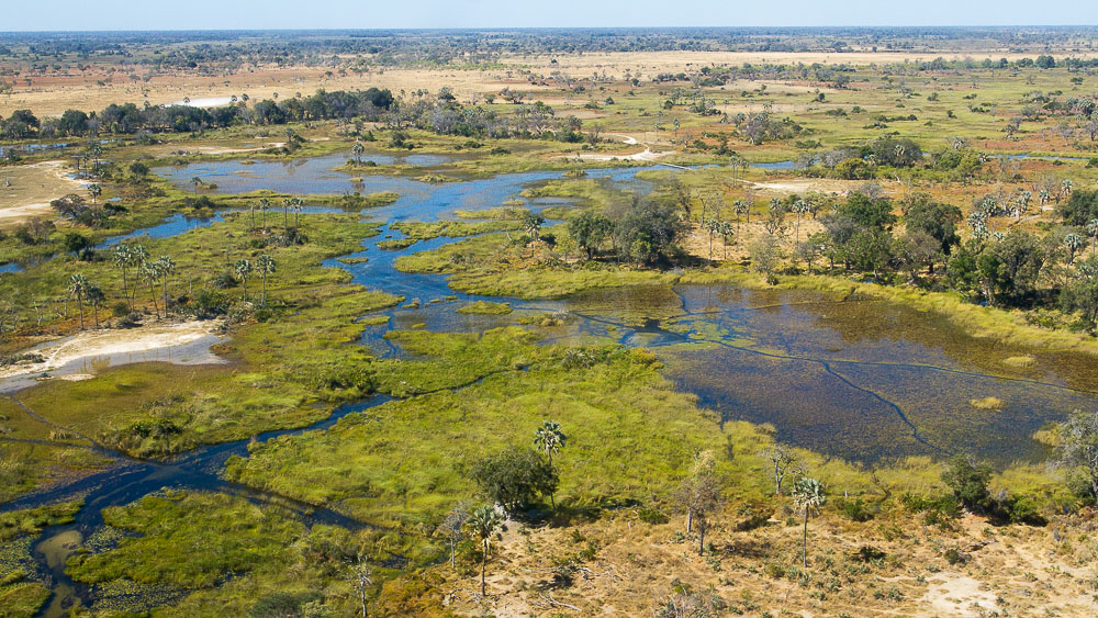Safari in the Okavango Delta © Etendues Sauvages