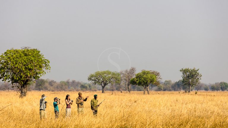 5 pays, 5 spots, 5 expériences africaines