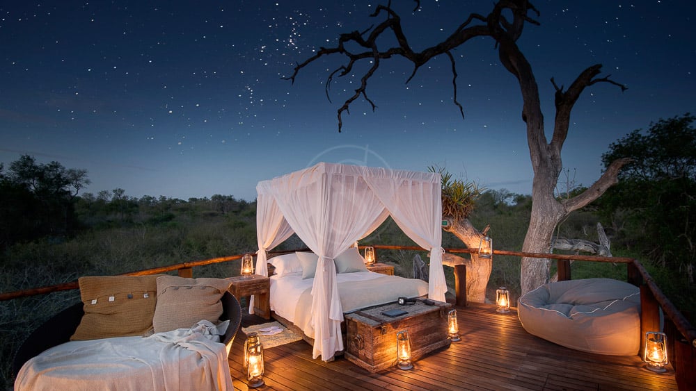 Lion Sands Chalkley Treehouse, Afrique du Sud © More Properties