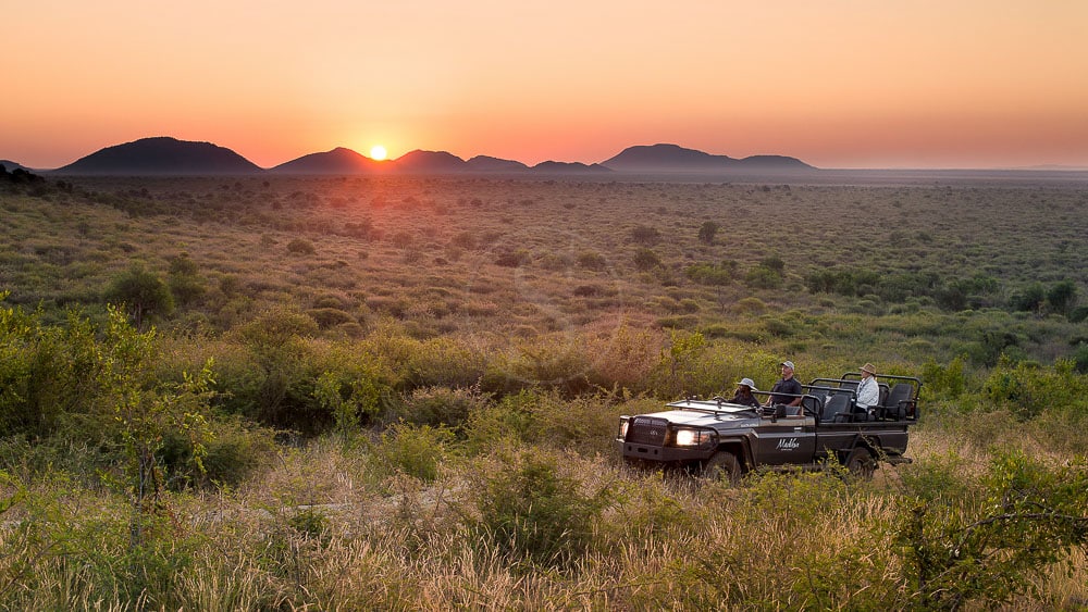 Madikwe Safari Lodge, Afrique du Sud © More