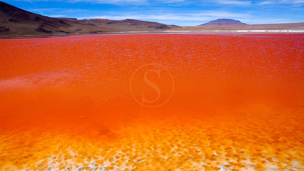 Laguna Colorada, Bolivie © Alain Pons