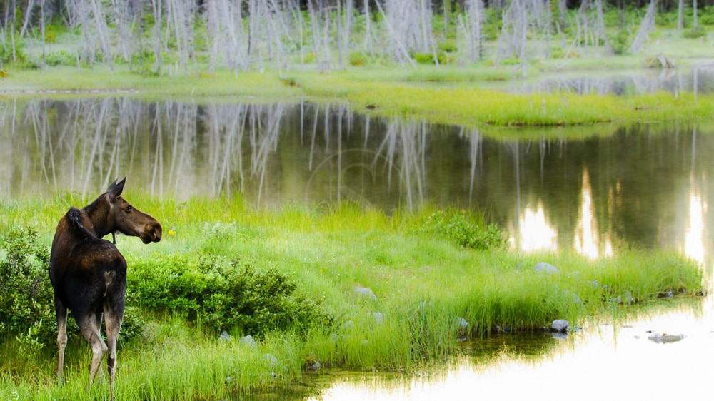 Région de Charlevoix, Canada